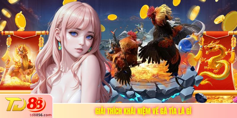 Giải thích khái niệm về gà tía là gì