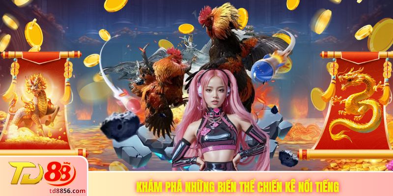 Khám phá những biến thể chiến kê nổi tiếng