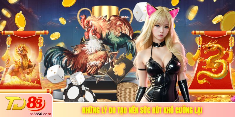 Những lý do tạo nên sức hút khó cưỡng lại