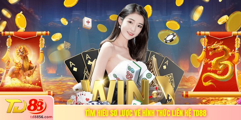 Tìm hiểu sơ lược về hình thức liên hệ TD88