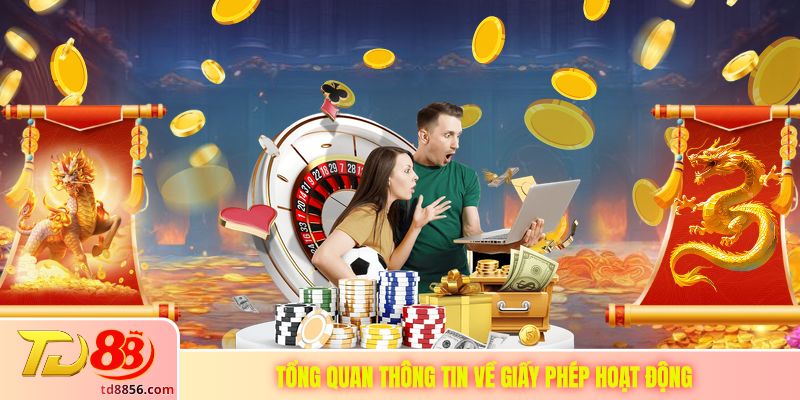 Tổng quan thông tin về giấy phép hoạt động